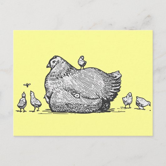 Carte Postale Poules et poules (Devant)