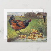 Carte Postale poules et poussins (Devant / Derrière)