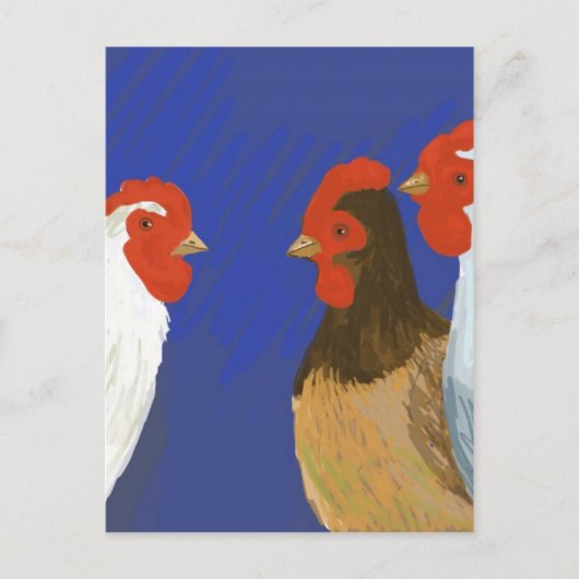 Carte Postale poules françaises (Devant)