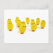 Carte Postale poules mignonnes (Devant)