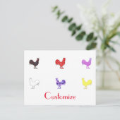 Carte Postale Poules Thunder_Cove (Debout devant)