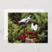 Carte Postale Poulet (Devant / Derrière)