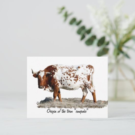 CARTE POSTALE POULET (Debout devant)