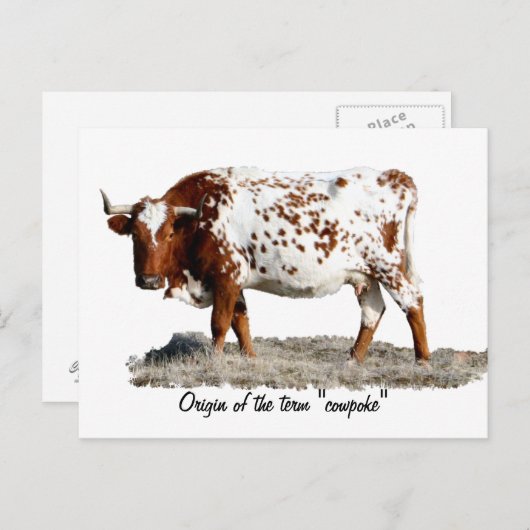 CARTE POSTALE POULET (Devant / Derrière)