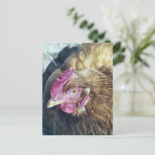 CARTE POSTALE POULET (Debout devant)