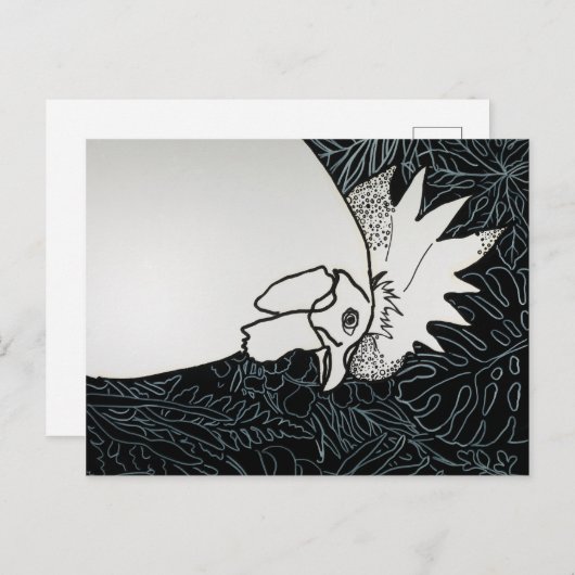 Carte Postale Poulet 1 (Devant / Derrière)