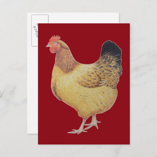 Carte Postale Poulet 2012 (Devant / Derrière)