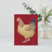 Carte Postale Poulet 2012 (Debout devant)