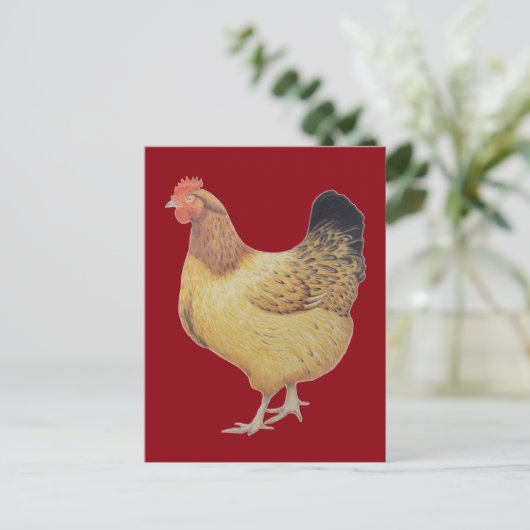 Carte Postale Poulet 2012 (Debout devant)