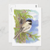 Carte Postale Poulet d'aquarelle original en Pine Tree (Devant / Derrière)