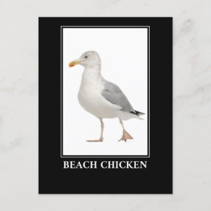 Carte Postale Poulet de Plage - Humour de goéland de Mouette de