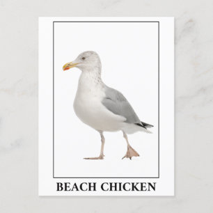 Carte Postale Poulet de Plage - Humour de goéland de Mouette de 