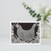 Carte Postale Poulet de roche barrée (Debout devant)