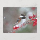 Carte Postale Poulet en chute de neige avec baies rouges (Devant)