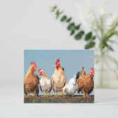 Carte Postale Poulet Hen Mug à café à deux tons (Debout devant)
