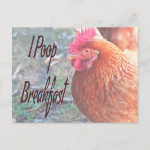 Carte Postale Poulet I poop Petit déjeuner Humour amusant