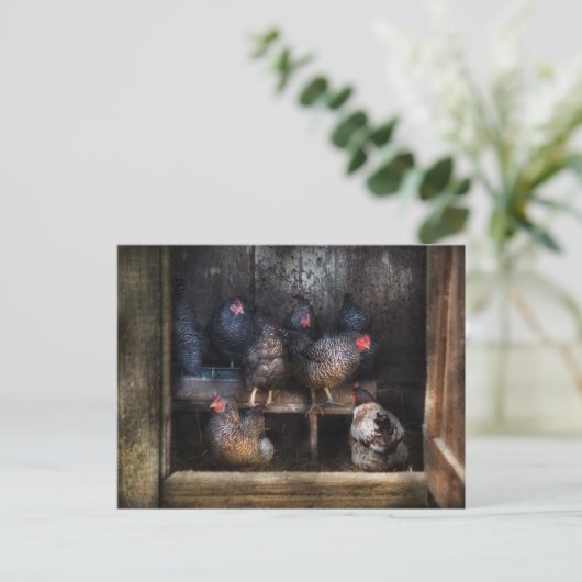 Carte Postale Poulet - La Maison Hen (Debout devant)