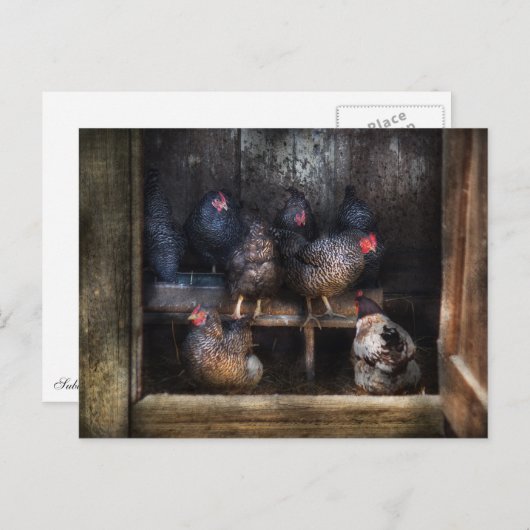 Carte Postale Poulet - La Maison Hen (Devant / Derrière)
