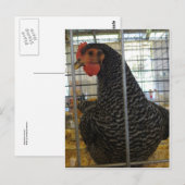 Carte Postale Poulet poivré (Devant / Derrière)