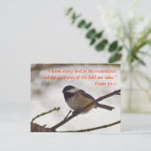 Carte Postale Poulet sur une perruque (Debout devant)