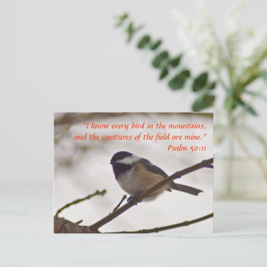 Carte Postale Poulet sur une perruque (Debout devant)