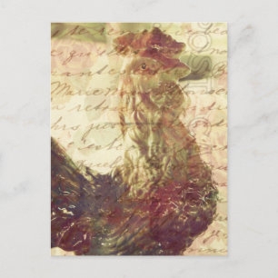 Carte Postale Poulet Vintage