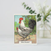 Carte Postale Poulet vintage en argent (Debout devant)