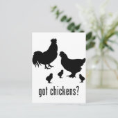 Carte Postale Poulets (Debout devant)