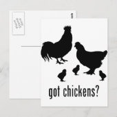 Carte Postale Poulets (Devant / Derrière)