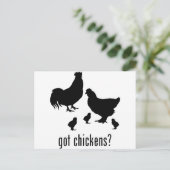 Carte Postale Poulets (Debout devant)