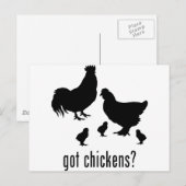 Carte Postale Poulets (Devant / Derrière)