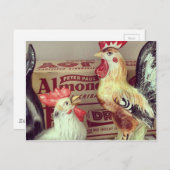 Carte Postale Poulets anciens (Devant / Derrière)