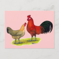 Poulets de la coupe de beurre sicilienne