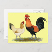 Carte Postale Poulets de Penedesenca (Devant / Derrière)