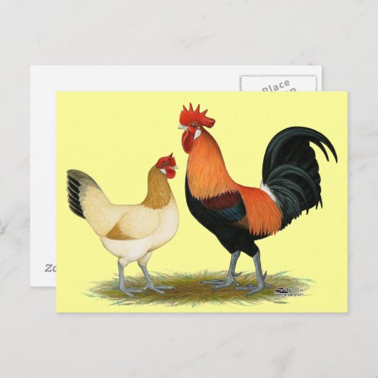 Carte Postale Poulets de Penedesenca (Devant / Derrière)
