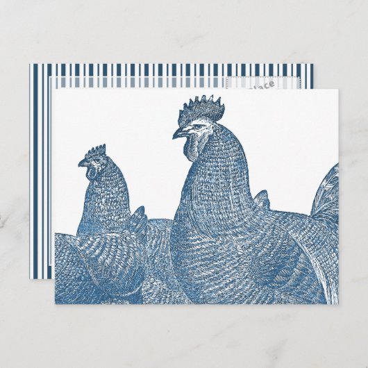 Carte Postale Poulets de roche de Plymouth Poules de coq bleu an (Devant / Derrière)