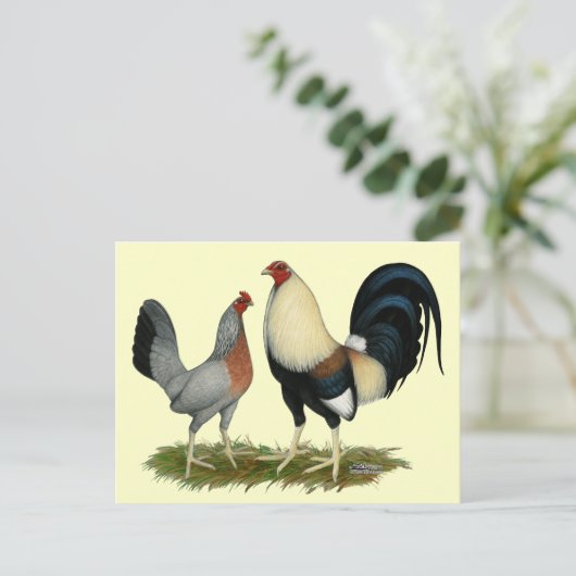 Carte Postale Poulets dorés (Debout devant)