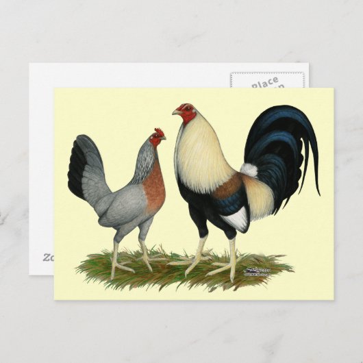 Carte Postale Poulets dorés (Devant / Derrière)