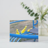 Carte Postale Poulets en caoutchouc dans un carrousel (Debout devant)