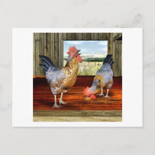 Carte Postale Poulets en Grange