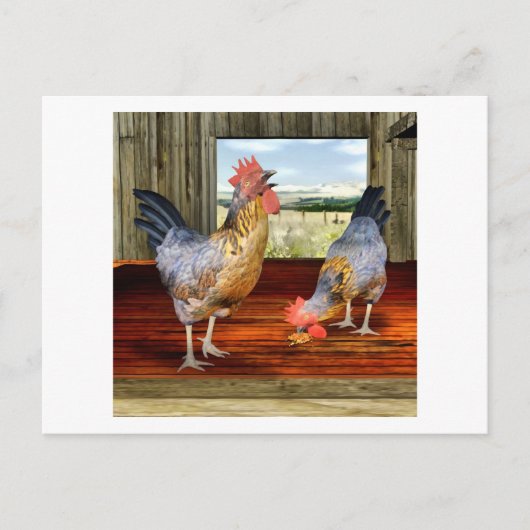 Carte Postale Poulets en Grange (Devant)