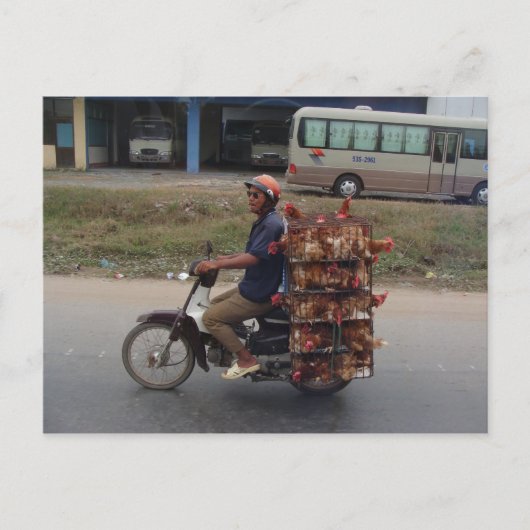 Carte Postale Poulets en moto-Vietnam (Devant)