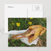 Carte Postale Poulets jetés (Devant / Derrière)