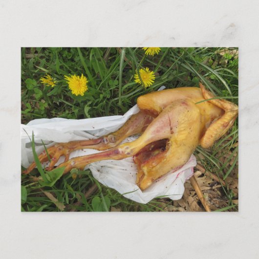 Carte Postale Poulets jetés (Devant)