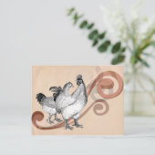 Carte Postale Poulets vintages de cochin (Debout devant)