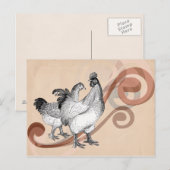 Carte Postale Poulets vintages de cochin (Devant / Derrière)