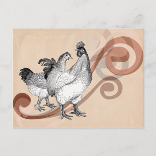 Carte Postale Poulets vintages de cochin