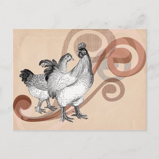 Carte Postale Poulets vintages de cochin (Devant)