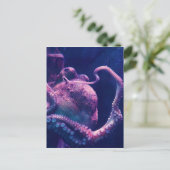 Carte Postale poulpe (Debout devant)