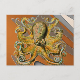 Carte Postale poulpe
